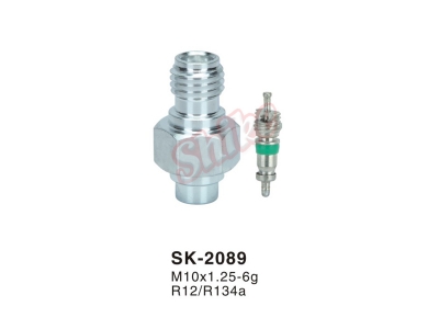 SK-2089