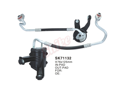 SK-71132